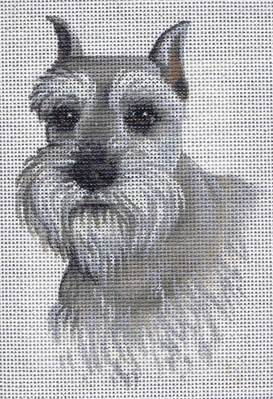 TTASP196 -Miniature Schnauzer