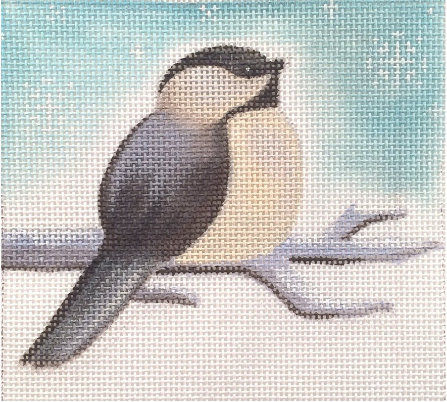 ADSP218 - Chickadee Looking Up