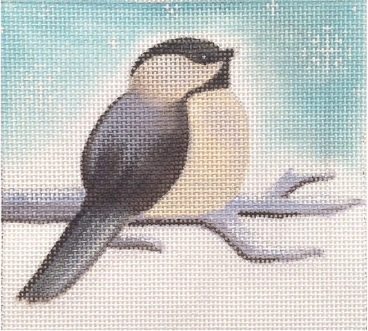 ADSP218 - Chickadee Looking Up