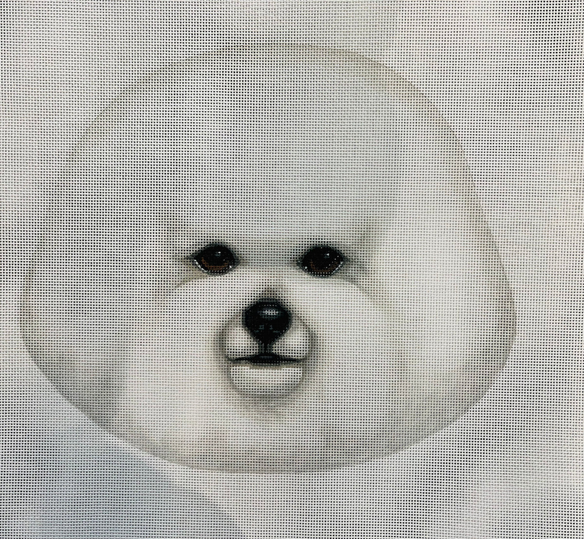 TTAP368 - Bichon