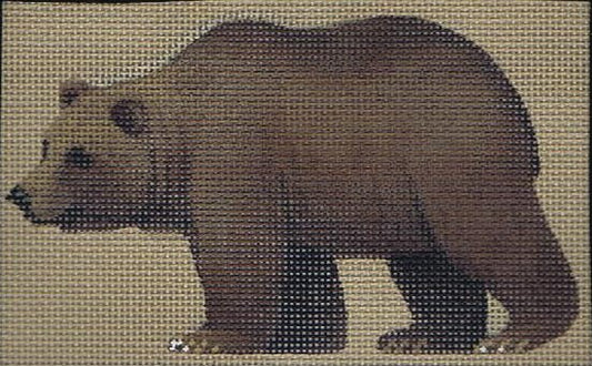 TTASP322 - Grizzly Bear
