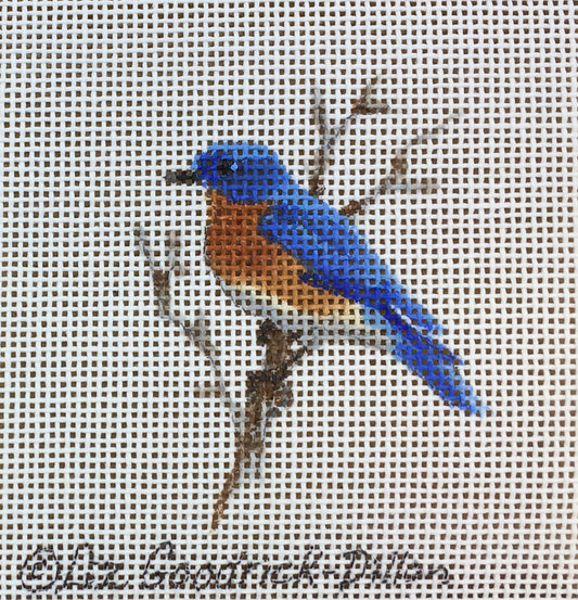 LGDOR302 - Bluebird