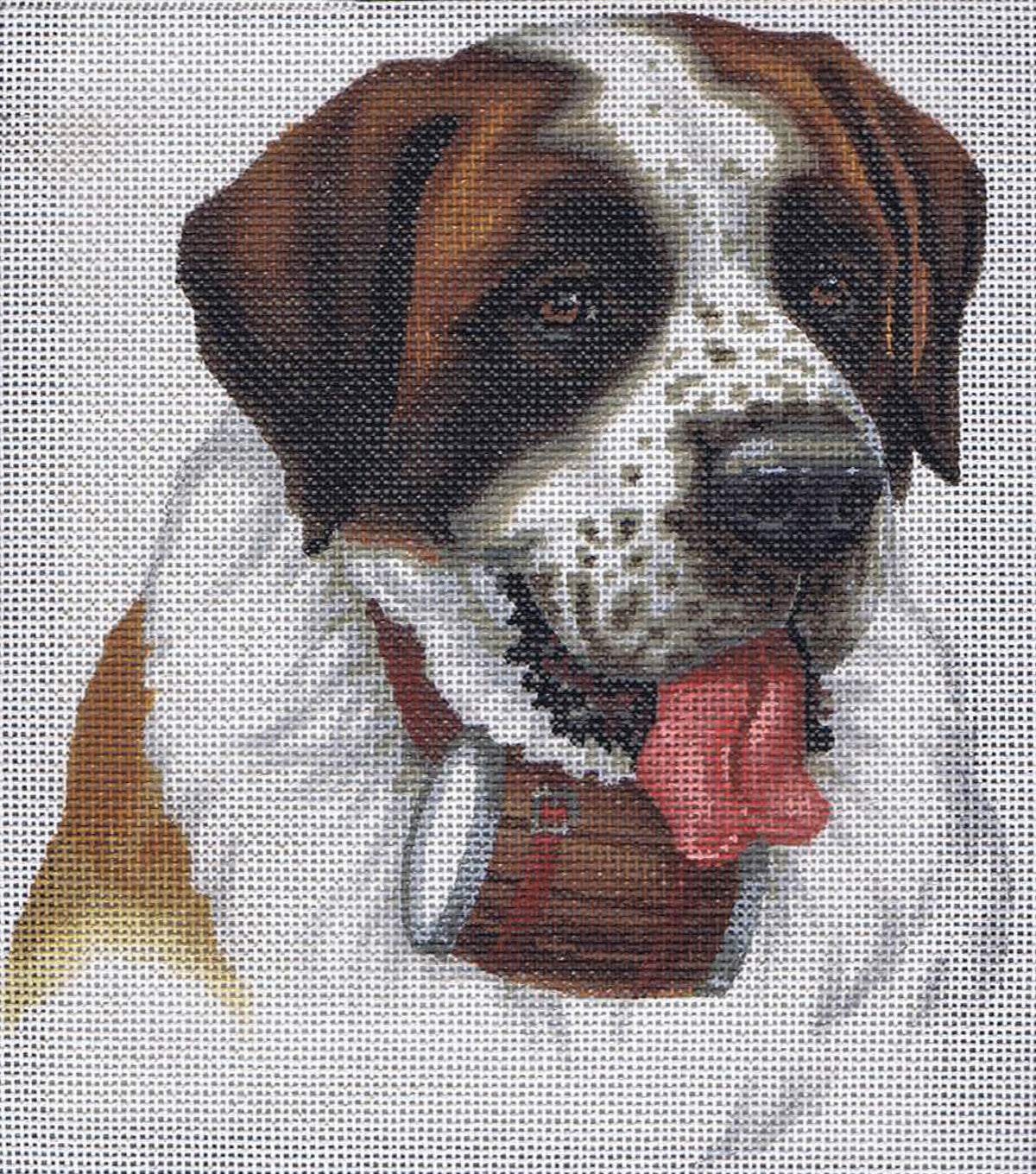 TTASP210 - St Bernard