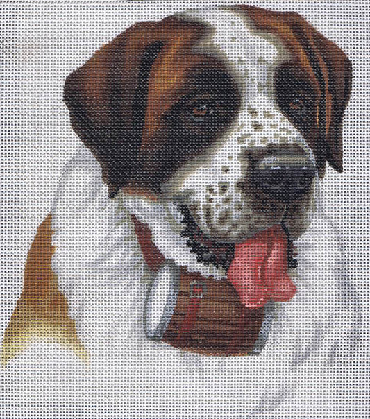 TTASP210 - St Bernard