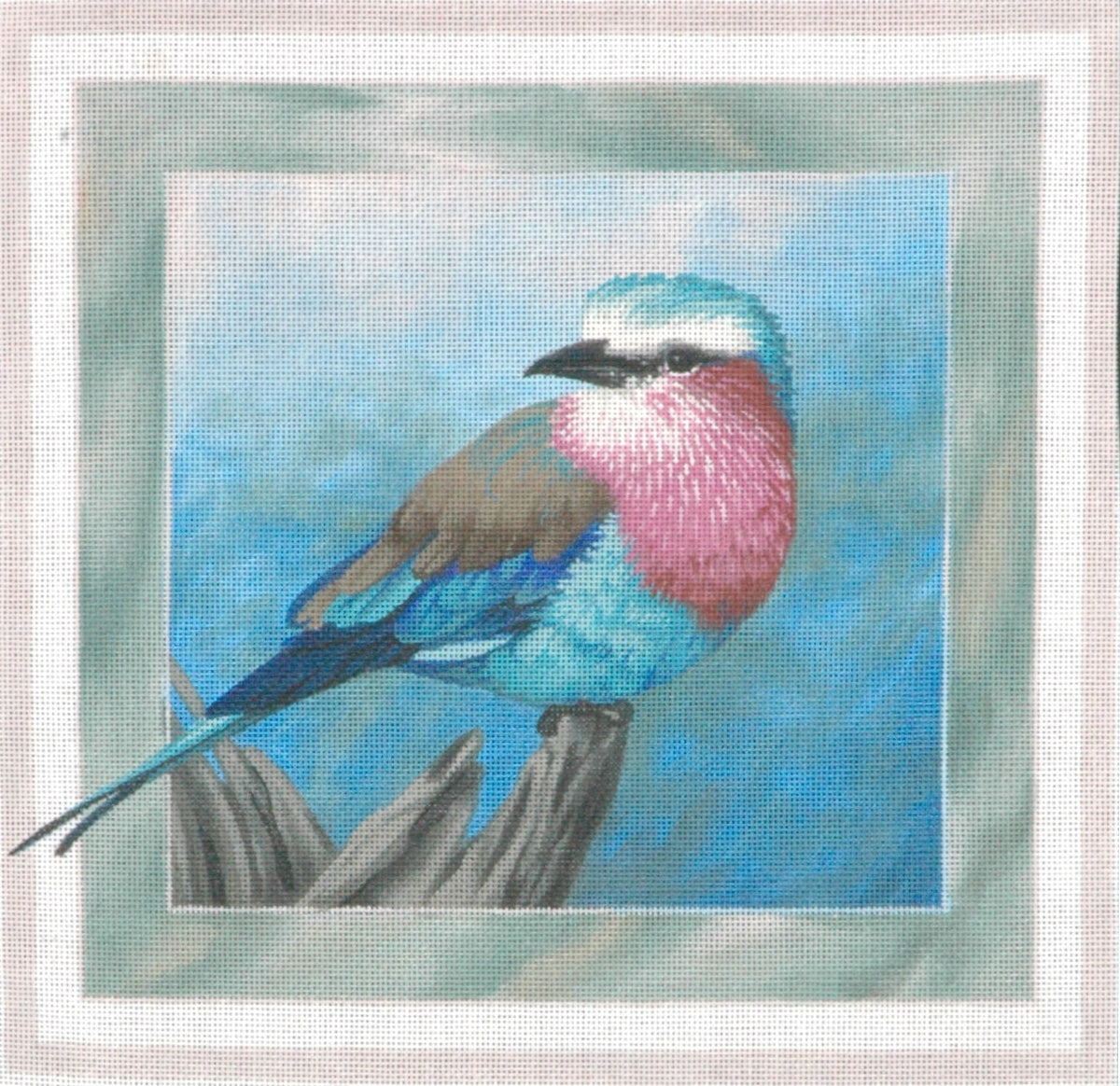TTAP319- Lilac Breasted Roller Bird