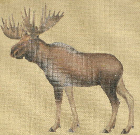 TTASP328 - Bull Moose