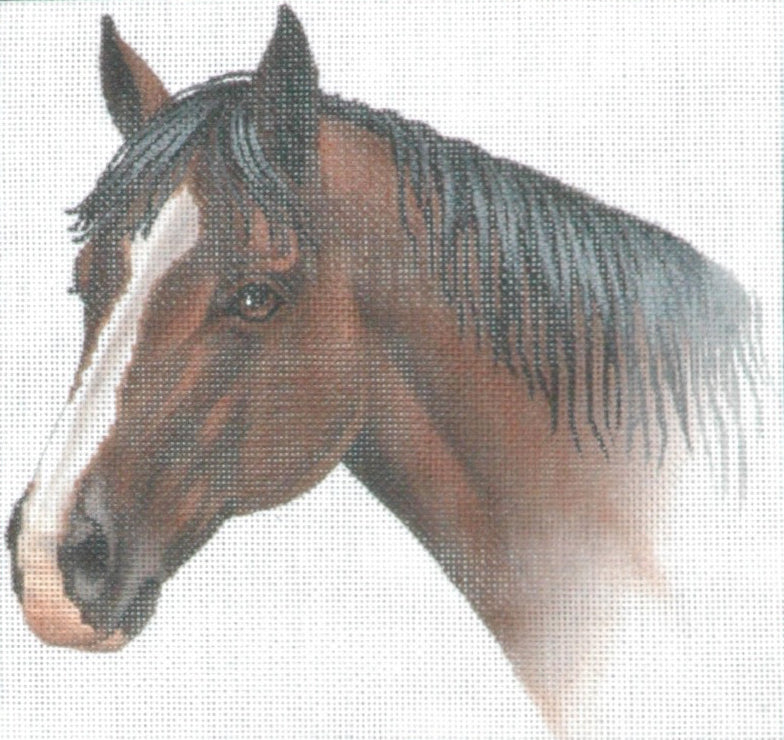 TTAP257 - Flicka
