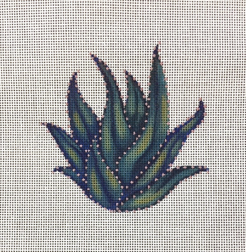 ADSP223 - Cactus 2