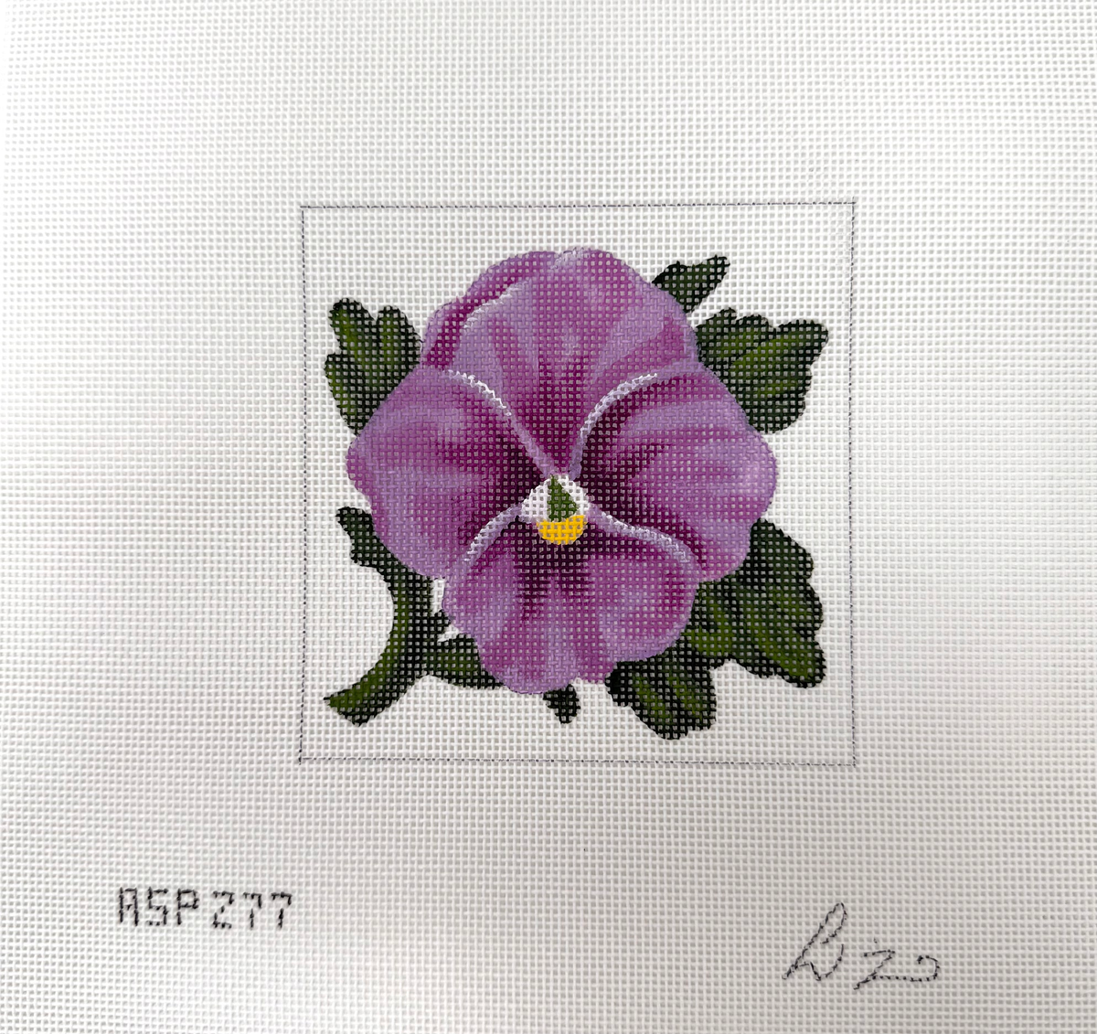 TTASP277 - Lavender Pansy