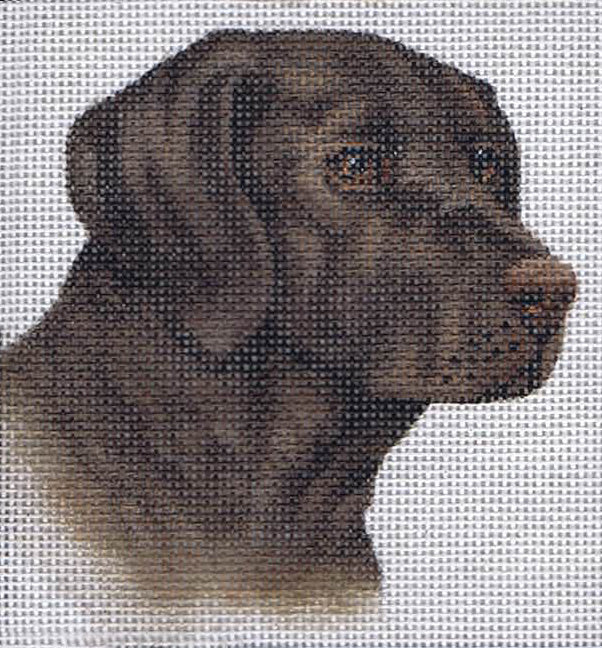 TTASP216 - Chocolate Lab
