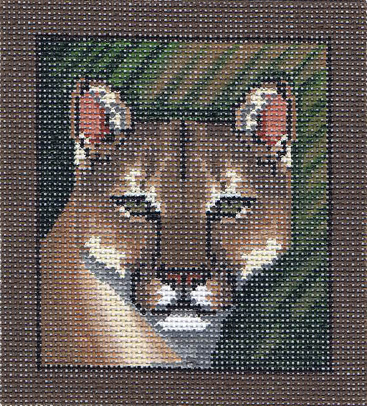 TTASP144-13 - Cougar