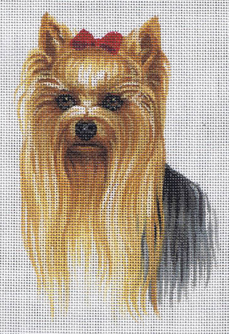 TTASP233 - Yorkie