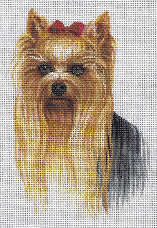 TTASP233 - Yorkie