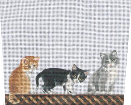 TTST112- 3 Kittens