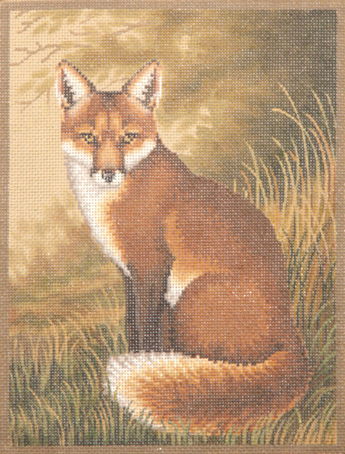 TTAP244-13 - Fox