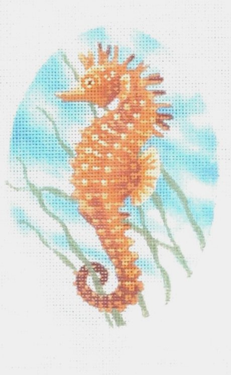 TTOR149 - Seahorse Ornament
