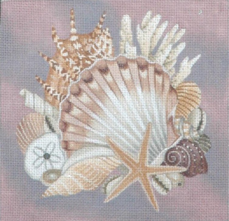 TTASP136 - Shells