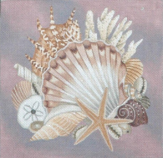 TTASP136 - Shells