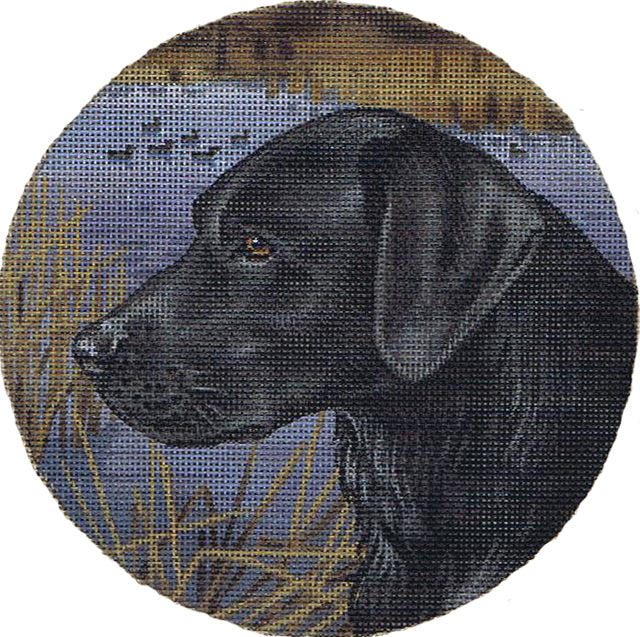 TTASP284 - Black Lab and Ducks