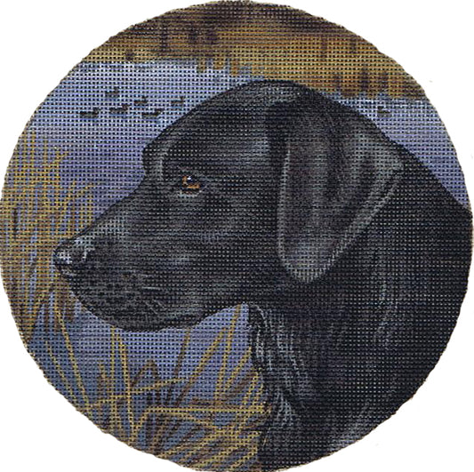 TTASP284 - Black Lab and Ducks