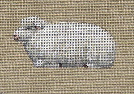 TTASP331 - Sheep Laying Down