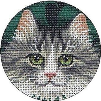 TTASP180- Kitty 6