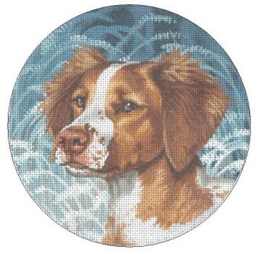TTASP367 - Brittany-Dog