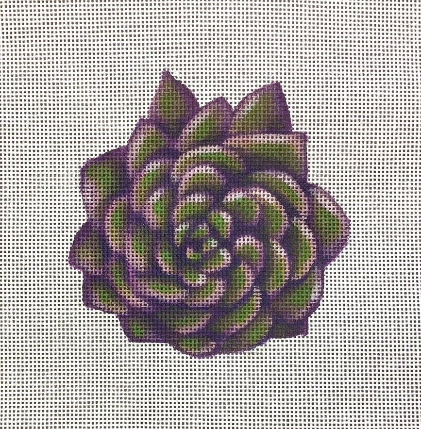 ADSP224 -Succulent