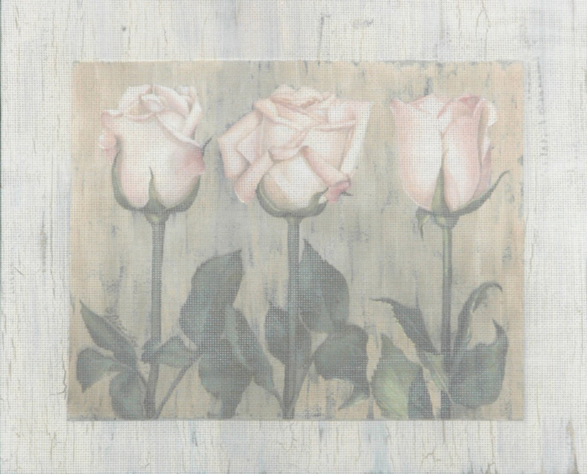 TTAP439 - Three Roses