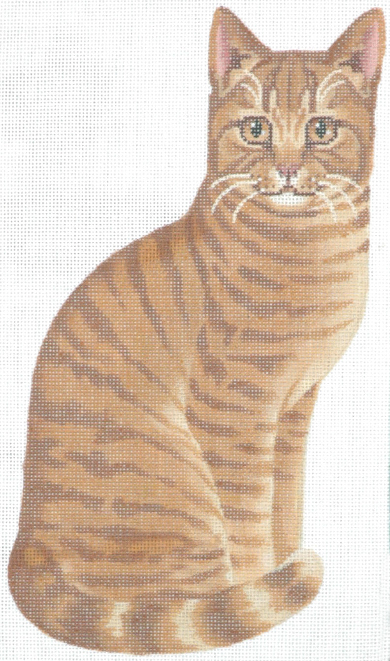 TTAP282 - Couch Kitty2