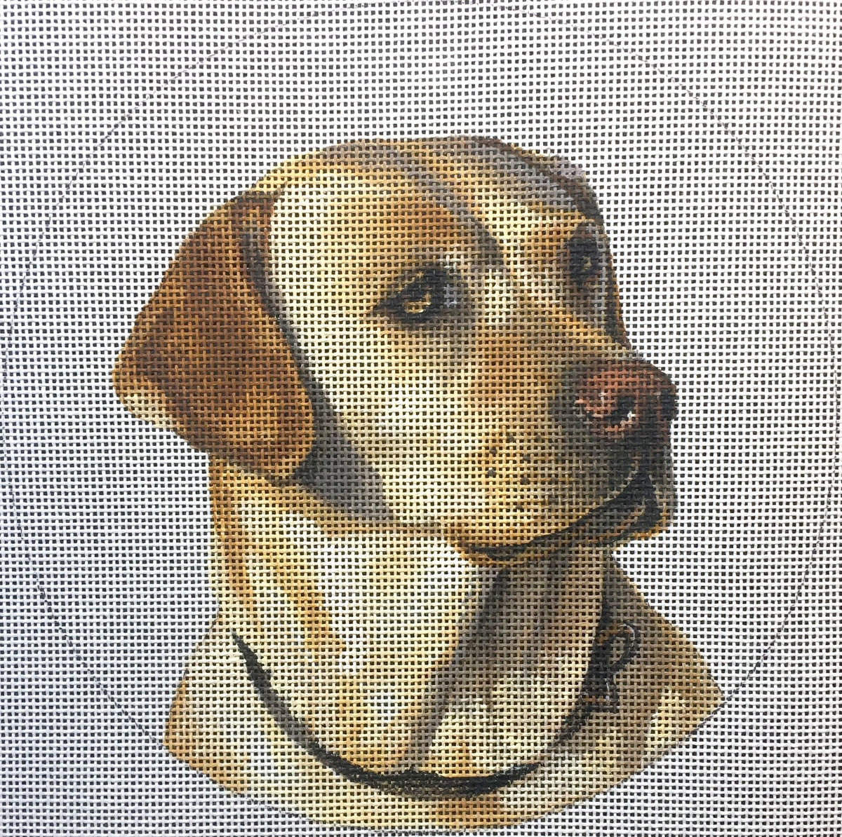 LGDSP411 - Yellow Lab