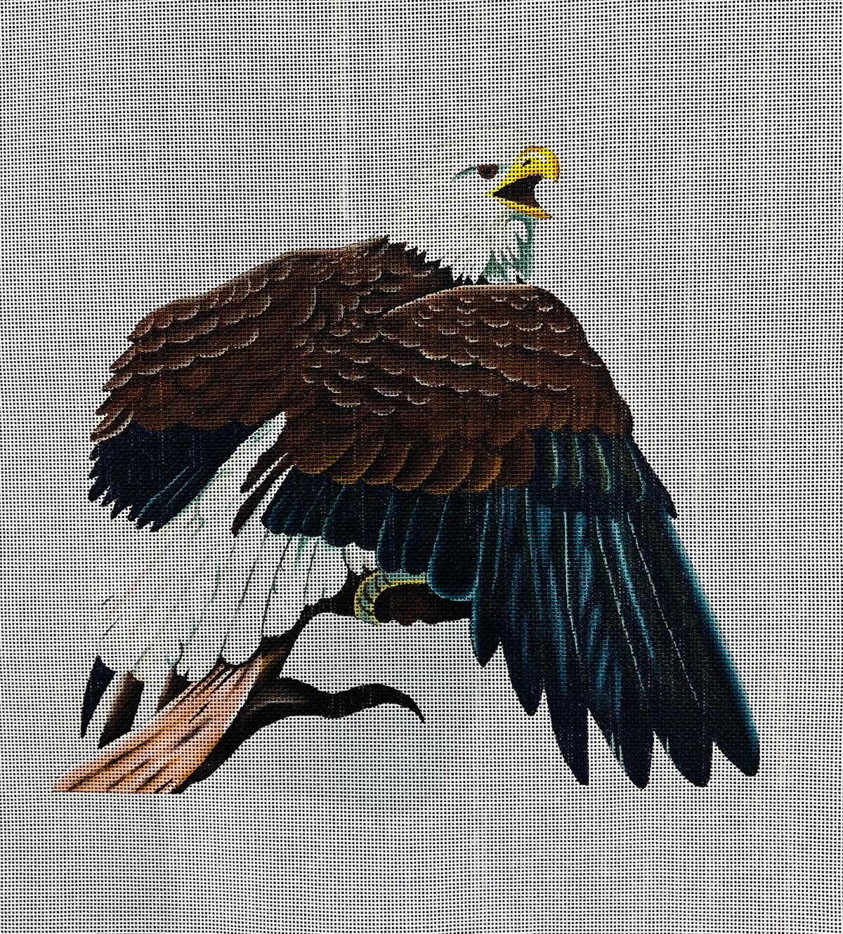 TTAP405B - Perched Eagle