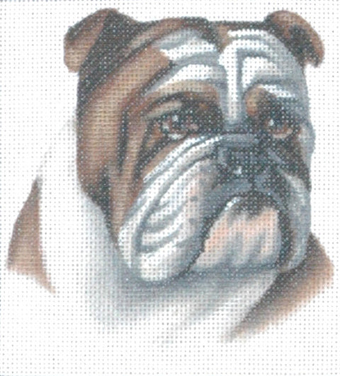 TTASP186- Bulldog