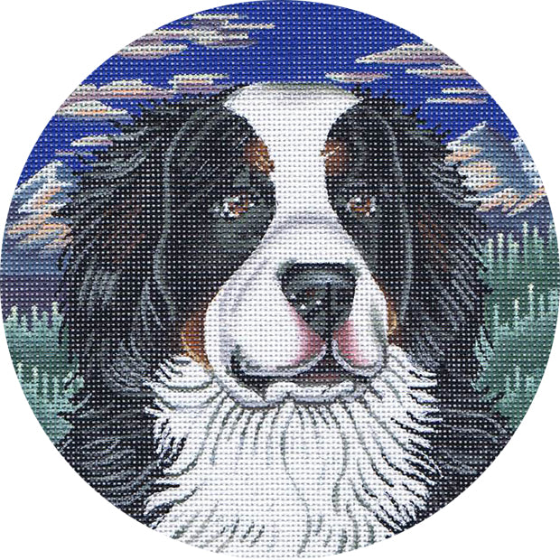 TTASP298 - Burmese Mountain Dog