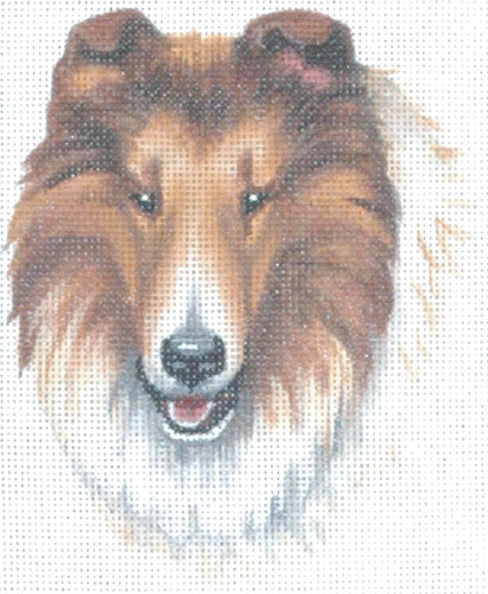 TTASP187- Collie