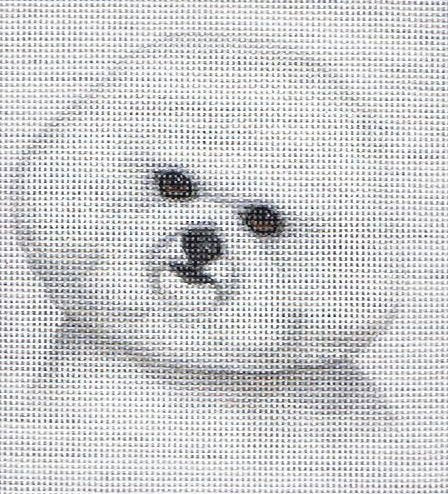 TTASP234 - Bichon