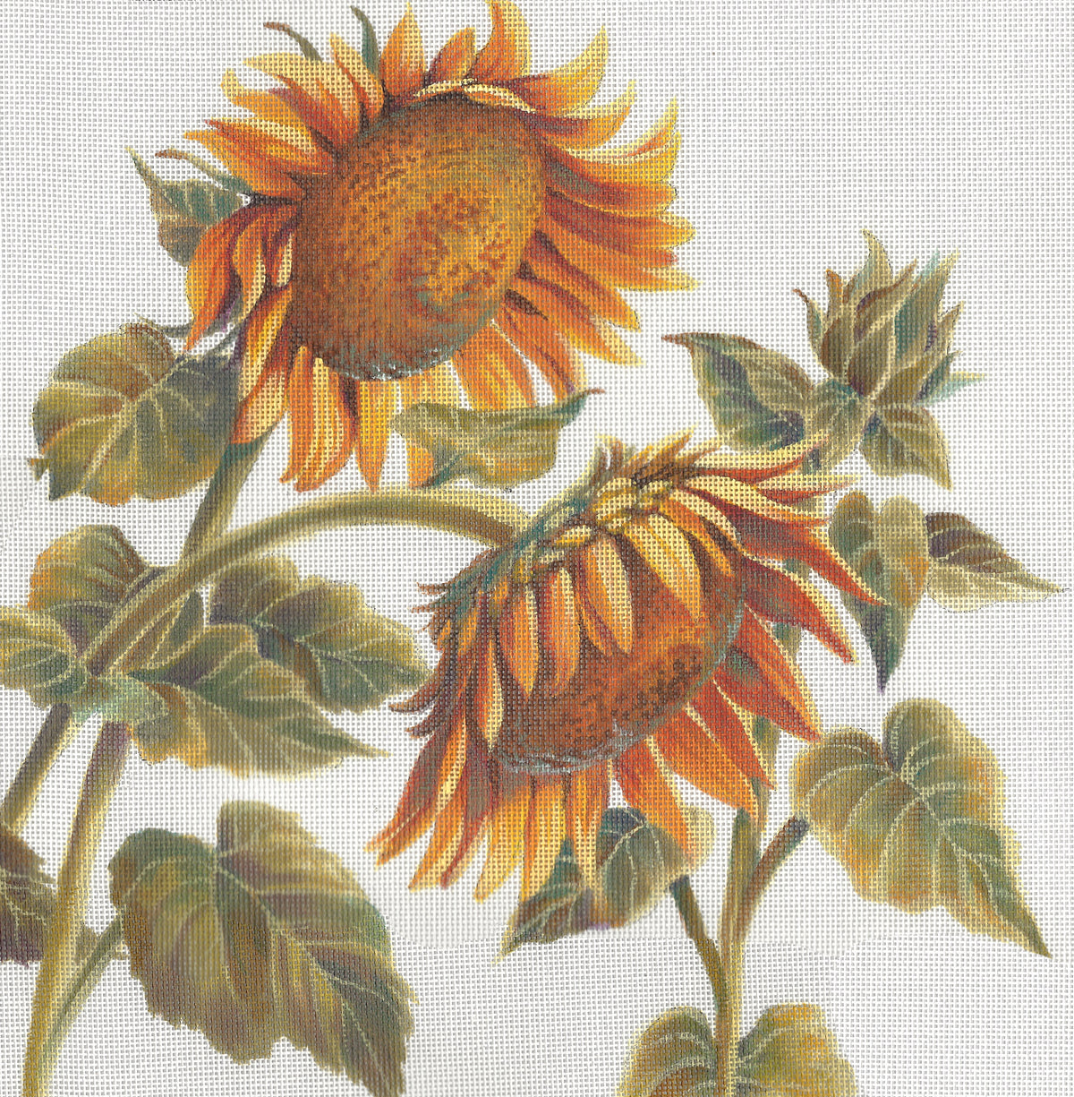 LGDP524 - Sun Flowers