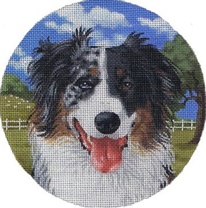 TTASP238 - Australian Shepherd